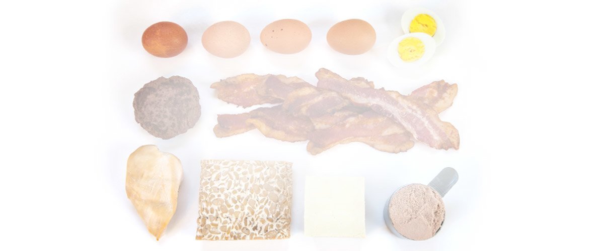 Counting Macros: High Protein Foods for 30 Grams of Protein - Bodybuilding.com